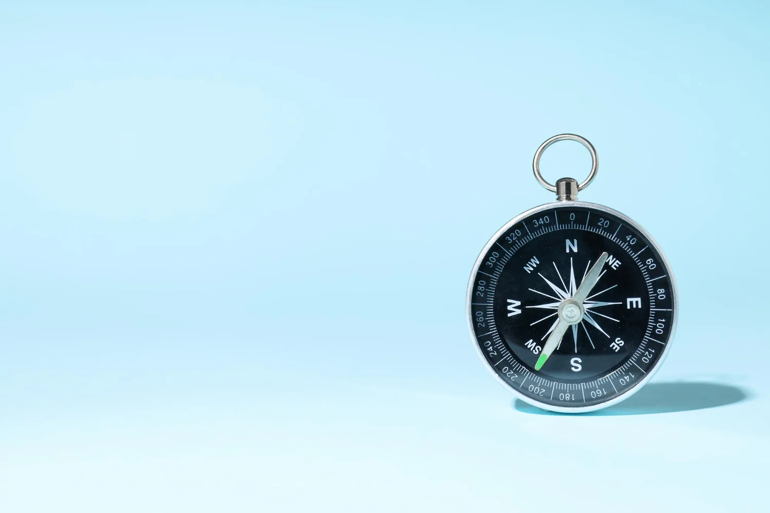 Organización caórdica: qué es y por qué es clave en la dirección empresarial actual